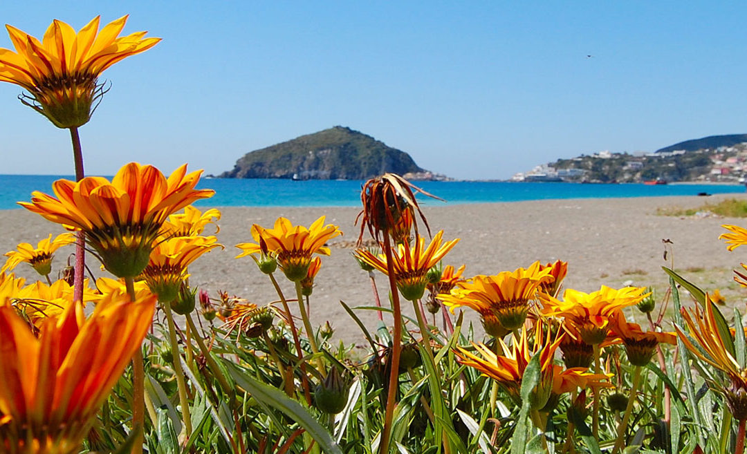 Die Urlaubs- und Wellnessinsel Ischia